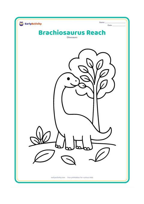 Colouring page: A friendly long-necked Brachiosaurus reaches up to eat from a tall leafy tree. Show its complete body, a few large leaves and a simple ground line.