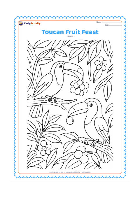 Colouring page: Two toucans feed from a lush fruit tree, one reaching toward a cluster and the other holding a piece of fruit in its bill. Add overlapping leaves, textured bark, hanging vines, flowers,…