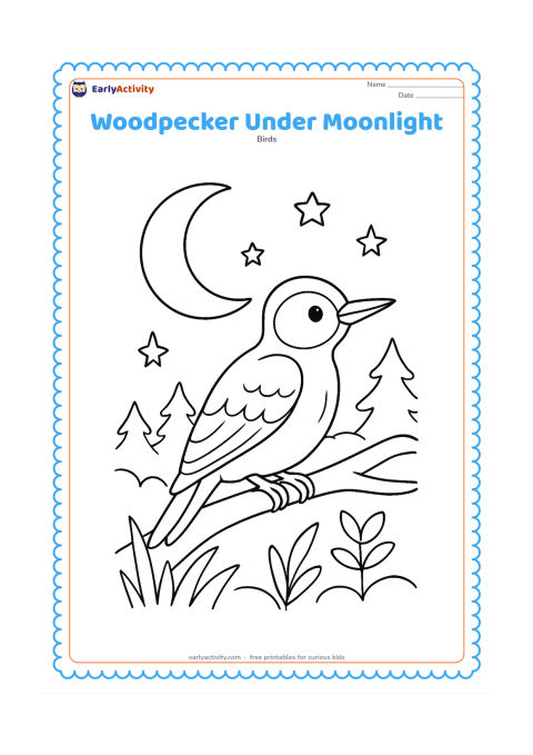 Colouring page: A woodpecker rests on a branch beneath a large crescent moon, with simple stars, layered tree silhouettes and a few night plants. Keep the bird in a clear side view.