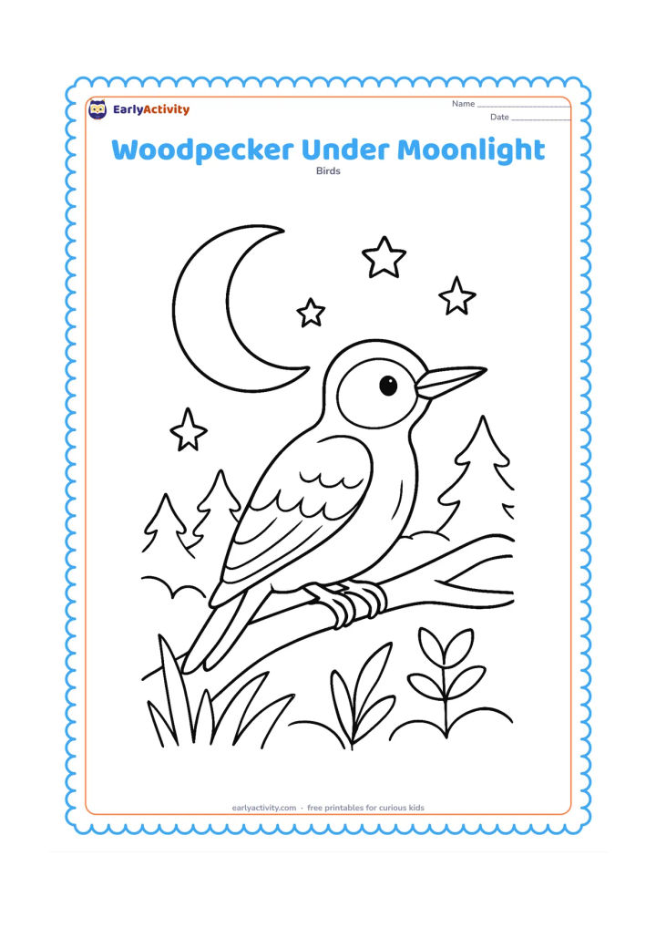 Colouring page: A woodpecker rests on a branch beneath a large crescent moon, with simple stars, layered tree silhouettes and a few night plants. Keep the bird in a clear side view.