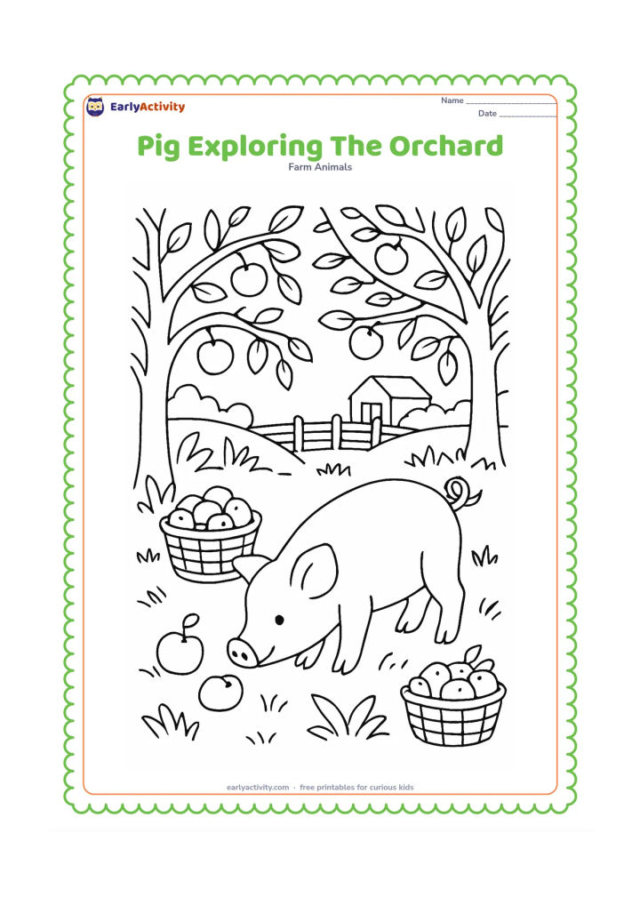 Colouring page: A pig sniffs fallen fruit beneath orchard trees, with baskets of fruit, grass, a fence and a distant farm shed. Include varied branches, leaves and fruit while keeping the snout prominent.