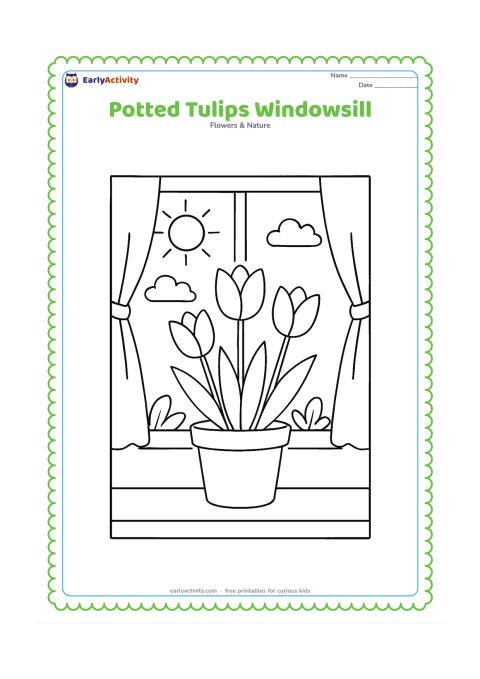 Colouring page: Draw a pot containing three tulips on a sunny windowsill, with two window panes, simple curtains and a view of a few distant garden leaves outside. Keep the tulip shapes prominent.