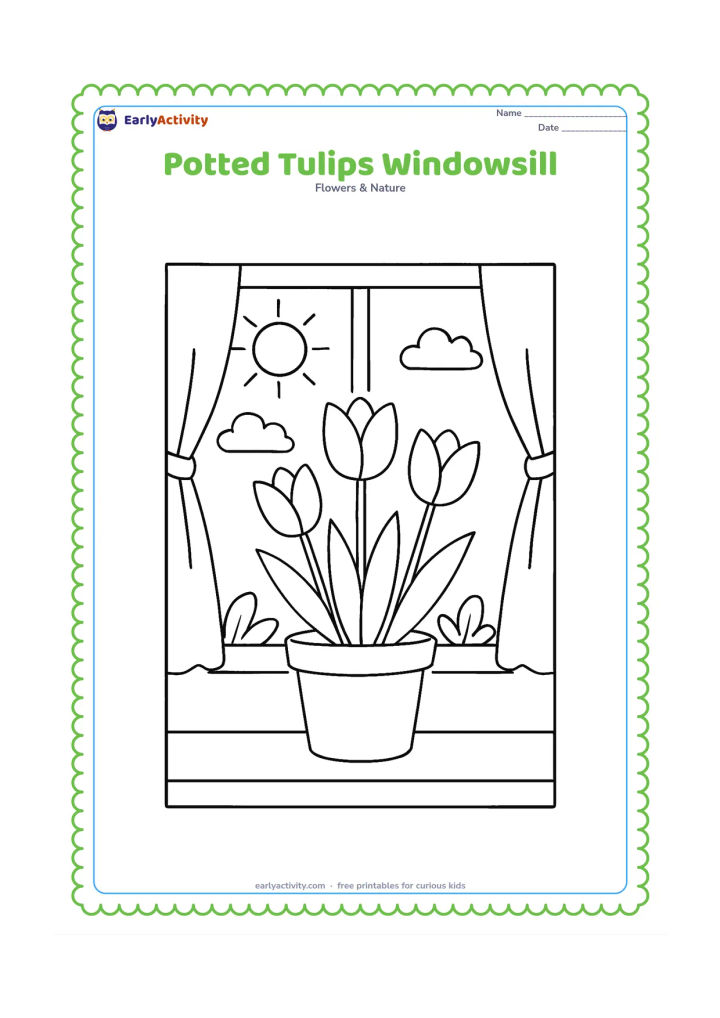 Colouring page: Draw a pot containing three tulips on a sunny windowsill, with two window panes, simple curtains and a view of a few distant garden leaves outside. Keep the tulip shapes prominent.