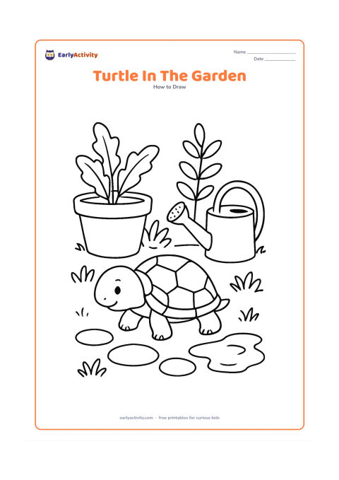 Worksheet: Draw a pond turtle exploring a home garden beside a low clay plant pot and a watering can. Include leafy plants, a simple stepping-stone path and a small puddle.