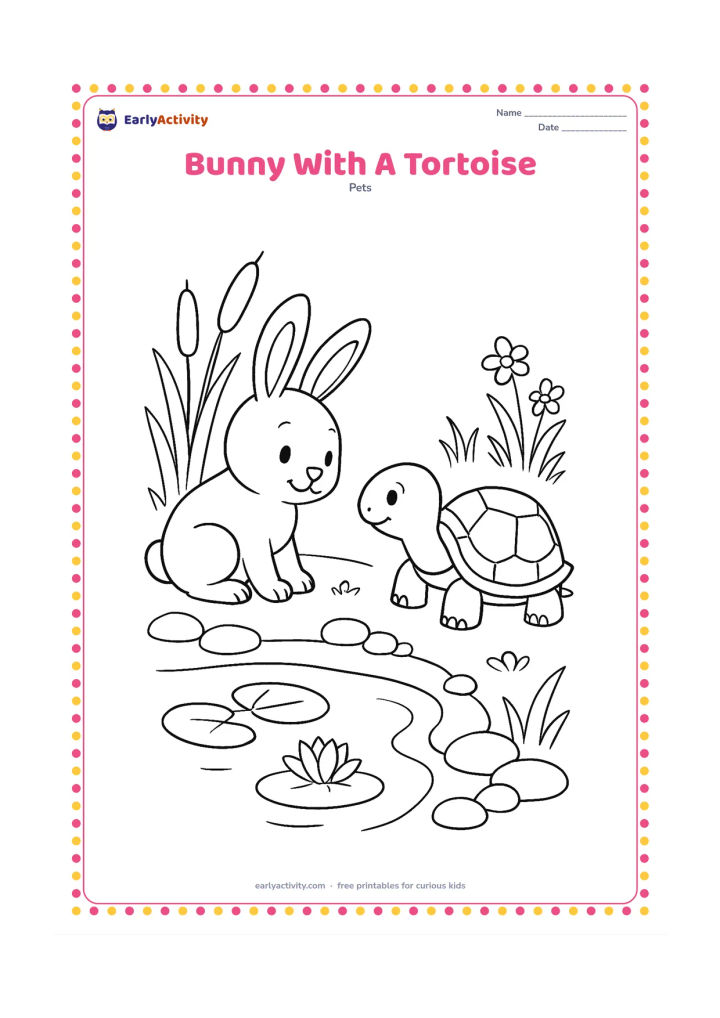 Colouring page: Draw a curious bunny and a friendly tortoise meeting beside a garden pond. Add reeds, lily pads, smooth stones, a few flowers, and a clear reflection-free water surface.