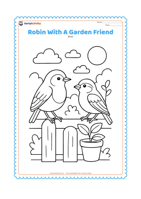 Colouring page: Draw a European robin and a small sparrow standing on the same garden fence, facing each other. Add a flower pot, a leafy stem and a simple garden background.