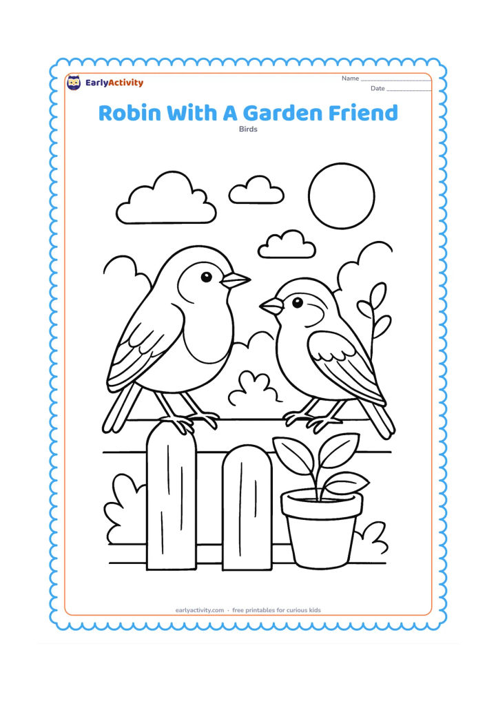 Colouring page: Draw a European robin and a small sparrow standing on the same garden fence, facing each other. Add a flower pot, a leafy stem and a simple garden background.