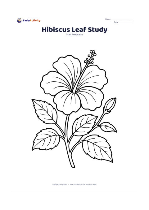 Worksheet: A large hibiscus flower with five wavy petals, a long prominent stamen, several veined leaves and a small unopened bud on a branching stem. Arrange the parts diagonally like a…