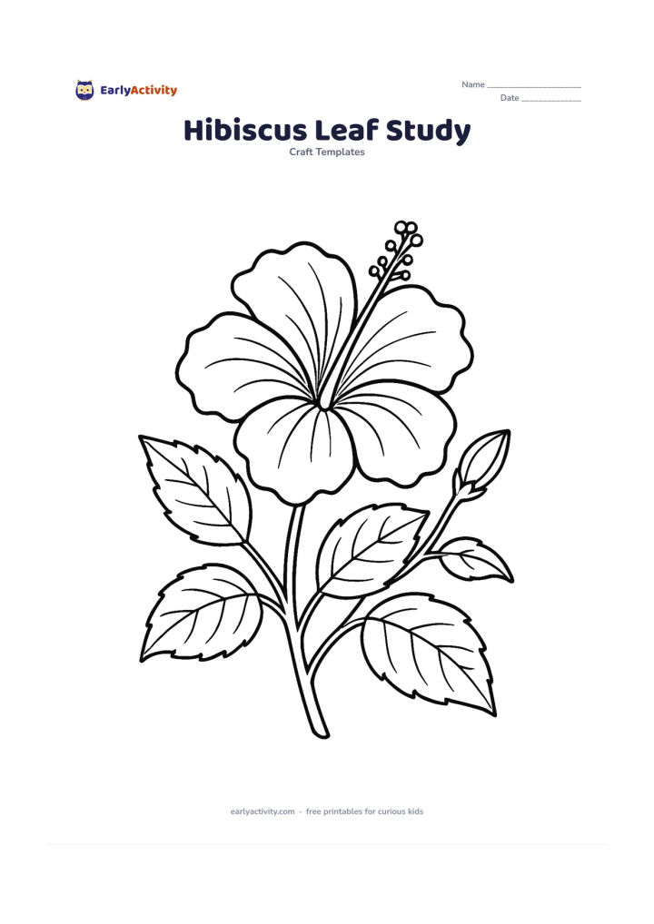 Worksheet: A large hibiscus flower with five wavy petals, a long prominent stamen, several veined leaves and a small unopened bud on a branching stem. Arrange the parts diagonally like a…