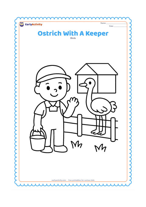 Colouring page: A smiling child-sized zoo keeper stands safely outside a low fence while an ostrich stands inside the enclosure. Add a bucket without labels, a small shelter and a few grass tufts.
