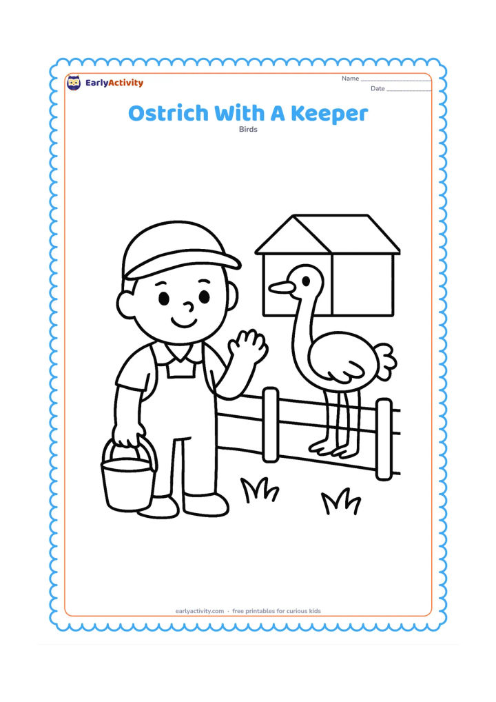Colouring page: A smiling child-sized zoo keeper stands safely outside a low fence while an ostrich stands inside the enclosure. Add a bucket without labels, a small shelter and a few grass tufts.