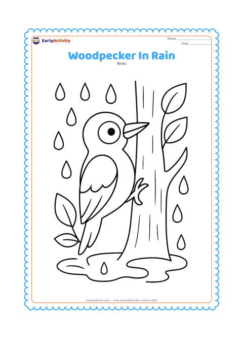 Colouring page: A woodpecker clings to a tree trunk during a gentle shower, with large raindrops, a small puddle and broad leaves around it. The bird should look calm and friendly.