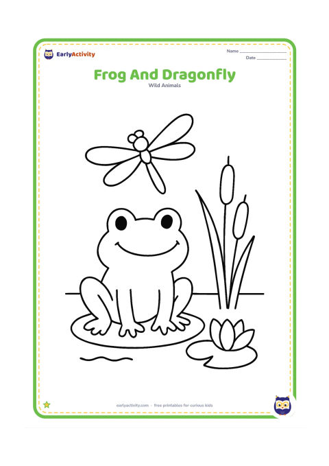 Colouring page: Draw a frog sitting beside a pond while a large dragonfly hovers above its head. Include one lily pad, two cattail leaves and a simple waterline.