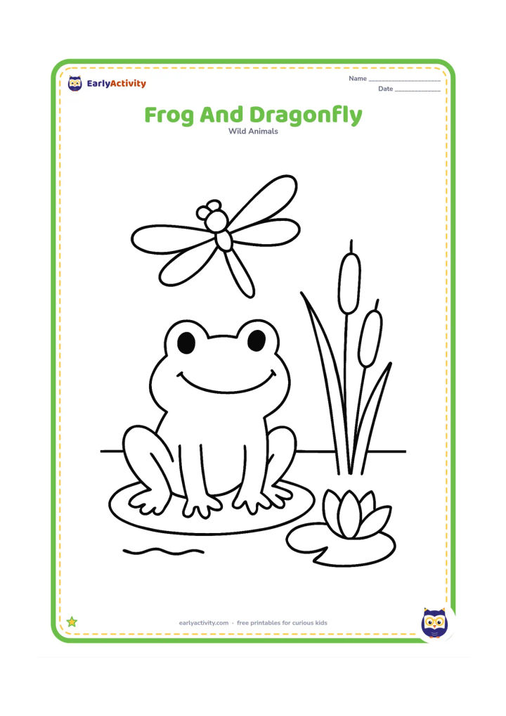 Colouring page: Draw a frog sitting beside a pond while a large dragonfly hovers above its head. Include one lily pad, two cattail leaves and a simple waterline.
