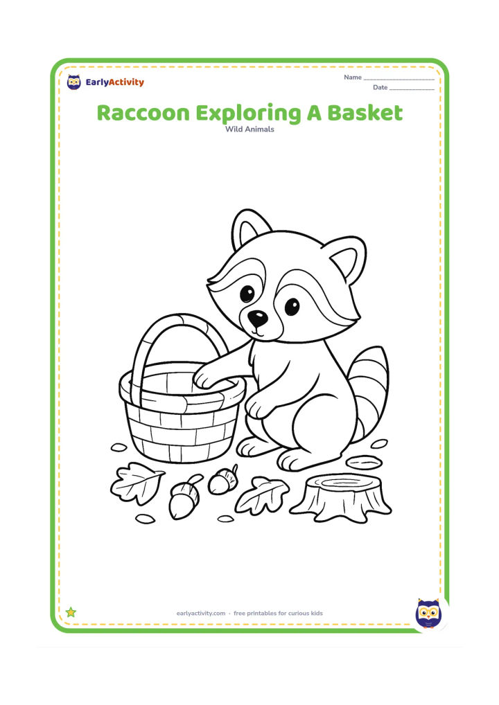 Colouring page: Draw a raccoon sitting beside a woven woodland basket, reaching one paw inside while looking curious. Add fallen leaves, acorns and a tree stump around it.