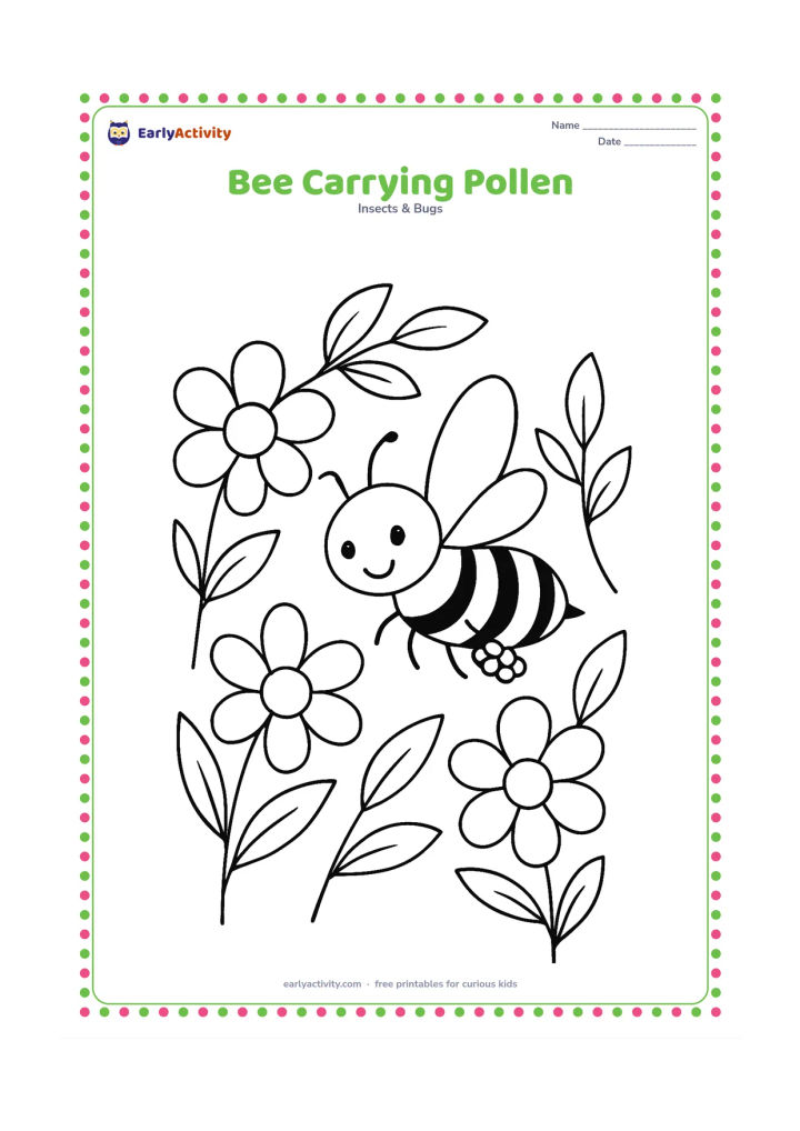 Colouring page: A bee flies between two flowers with visible pollen baskets on its hind legs. Include several petals, stems and leaves around the bee while keeping the flight path clear.