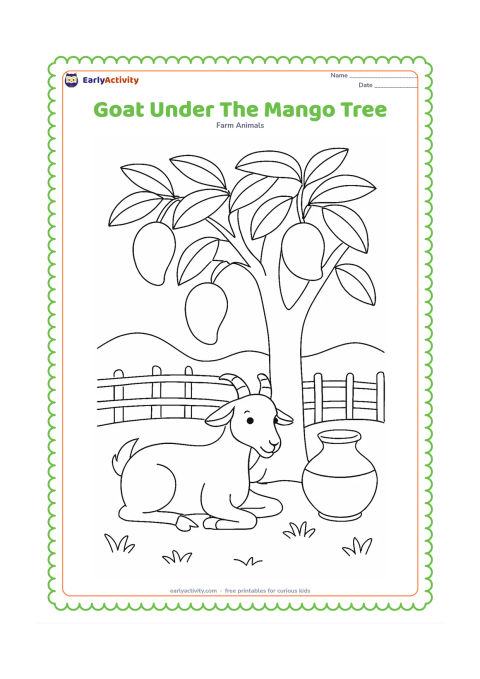 Colouring page: Draw a goat resting beneath a broad mango tree in an Indian farmyard, with a few large mangoes, a clay water pot, and a low woven fence. Keep the goat's cloven hooves visible.