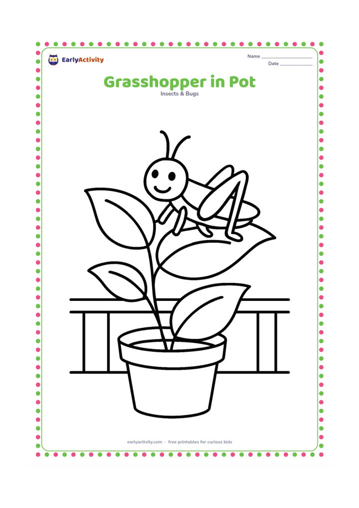 Colouring page: Draw a grasshopper sitting on a broad leaf growing from a simple flowerpot, with two or three large leaves and a plain background suggesting a home balcony garden.