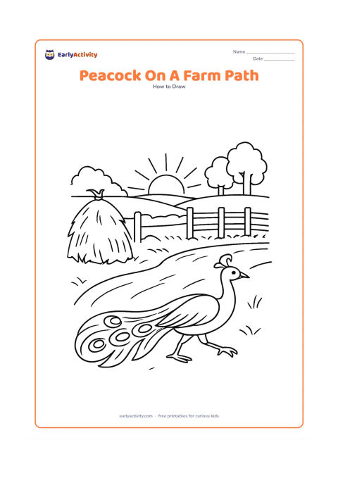 Worksheet: A peacock walks along a rural Indian farm path beside a low field, hay bundle and simple wooden fence. Add distant trees, a rising sun and a long tail trailing behind the moving bird.