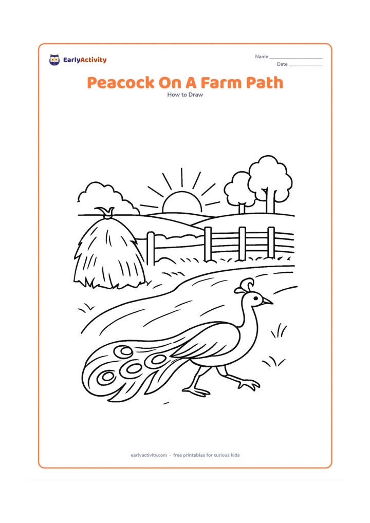 Worksheet: A peacock walks along a rural Indian farm path beside a low field, hay bundle and simple wooden fence. Add distant trees, a rising sun and a long tail trailing behind the moving bird.