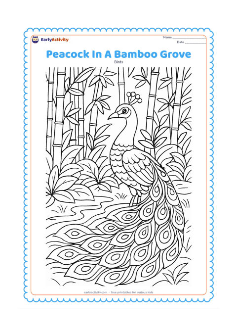 Colouring page: A peacock stands among tall bamboo stalks and layered leaves, with a small stream winding through the foreground. His long train curves around the plants and contains repeated feather…