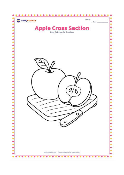 Colouring page: Draw a whole apple beside a neatly cut apple half, showing the central star shape, several large seeds, stem and leaves. Arrange them on a wooden kitchen board with a small knife safely…
