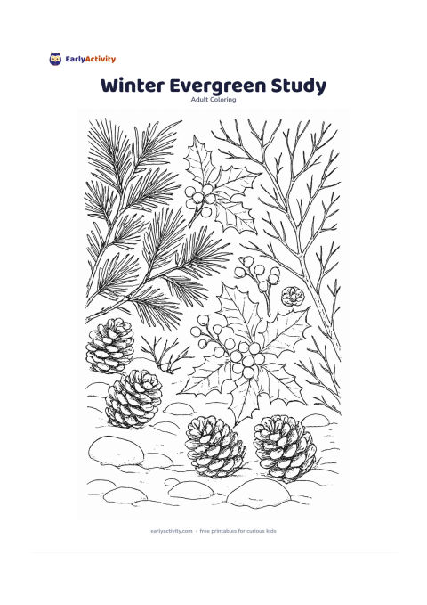 Colouring page: Arrange pine branches, holly leaves, cones, bare twigs, and small winter berries in a woodland study. Add a few snow-covered stones and open patches suggesting a quiet winter morning.