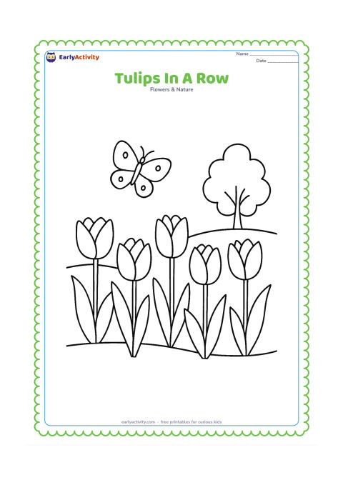 Colouring page: Draw a row of five tulips at different heights beside a curved garden border, with broad leaves, a small butterfly and a distant simple tree. Vary the tulip shapes slightly.