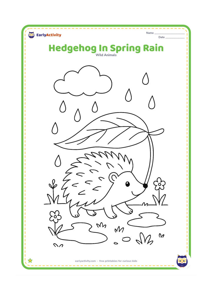 Colouring page: Draw a hedgehog walking beneath a large leaf during a gentle spring shower. Add puddles, fresh grass, small flowers and a cloud with widely spaced raindrops.