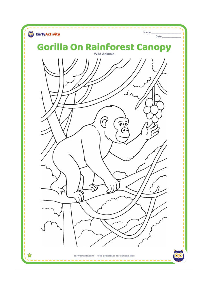 Colouring page: A gorilla carefully moves along a broad branch high in the rainforest canopy, reaching toward a cluster of fruit. Show overlapping branches, vines and distant layered treetops.