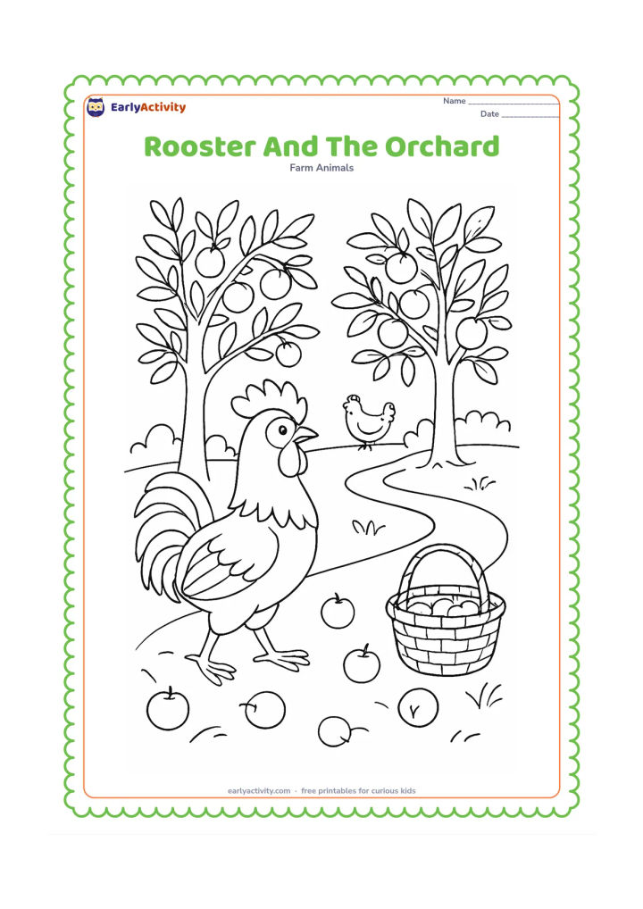 Colouring page: Draw a rooster walking through an orchard with fruit trees, fallen fruit, a woven basket and a winding path. Add a small hen visible between the tree trunks.