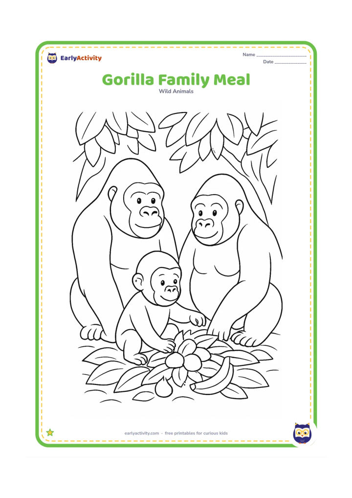 Colouring page: An adult gorilla, another adult gorilla and a young gorilla sit together around a pile of leaves and fruit on the forest floor. Add a low canopy of leaves behind them.