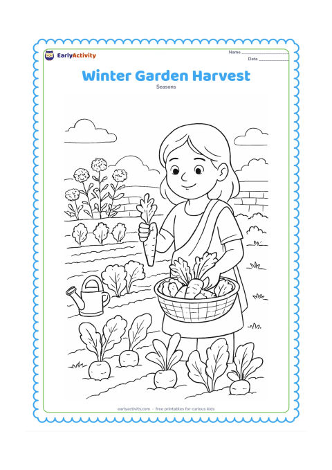 Colouring page: A child gathers winter vegetables in an Indian kitchen garden, placing carrots and leafy greens into a basket. Include garden rows, a watering can, marigold plants, a low wall and a hazy…