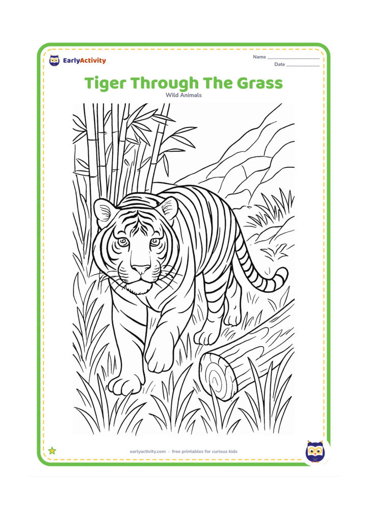 Colouring page: A tiger moves quietly through tall grass in a spacious naturalistic enclosure, with its head turned toward the viewer. Add layered grasses, a fallen log, bamboo and a rocky slope.