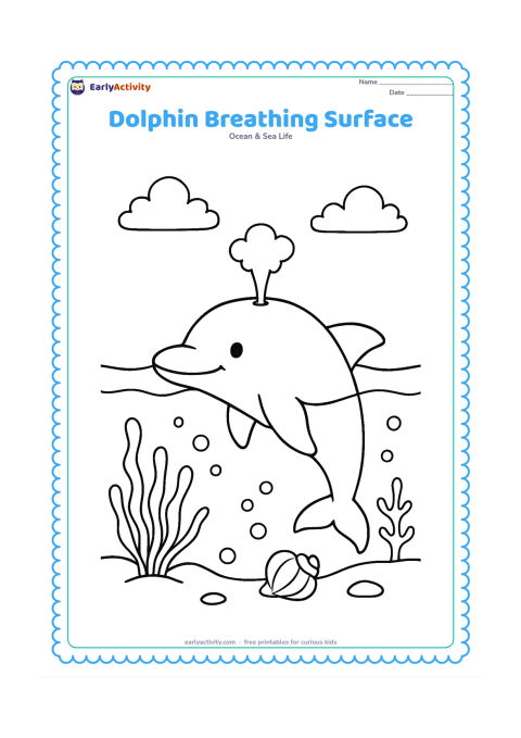 Colouring page: Draw a dolphin surfacing with its blowhole visible above the waterline and a small puff-like spray rising from it. Include underwater sea plants, a shell, and several bubbles below the…