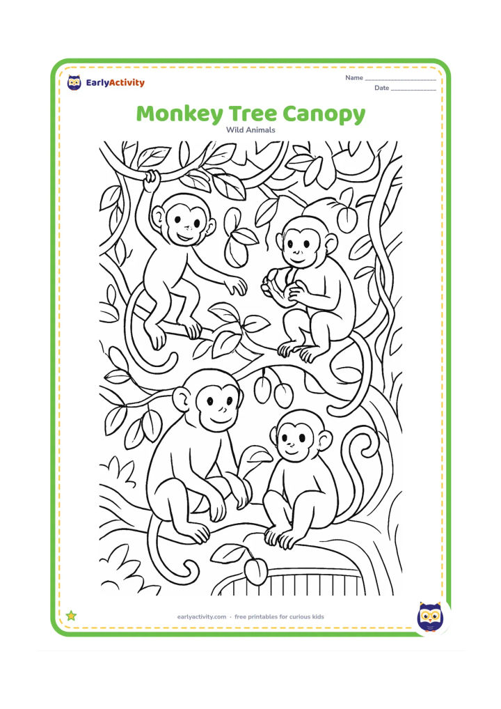 Colouring page: Several monkeys explore a leafy tree canopy: one hangs from a branch, one peels a fruit and one sits beside a young monkey. Include twisting branches, vines, fruit and a glimpse of the…