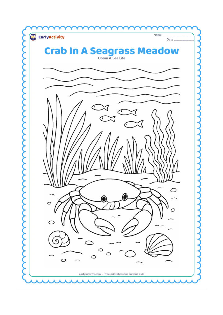Colouring page: A detailed crab crawls along the sandy floor of a shallow underwater seagrass meadow, with layered seagrass blades, a small school of fish, drifting sea plants, shells and gently…