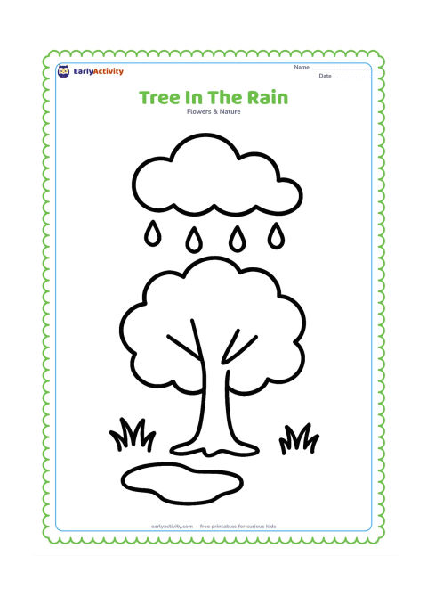 Colouring page: Draw a sturdy leafy tree beneath a large cloud with several simple raindrops, a small puddle, and two tufts of grass. The tree should have a broad trunk and rounded crown.