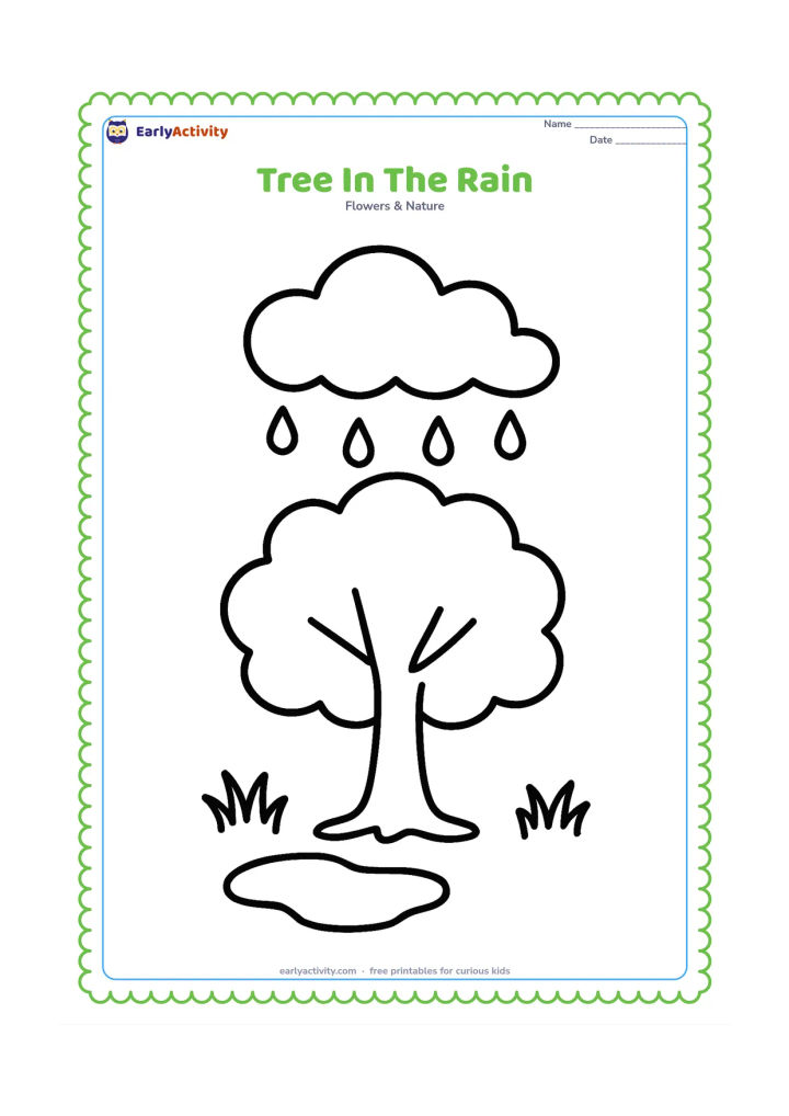 Colouring page: Draw a sturdy leafy tree beneath a large cloud with several simple raindrops, a small puddle, and two tufts of grass. The tree should have a broad trunk and rounded crown.