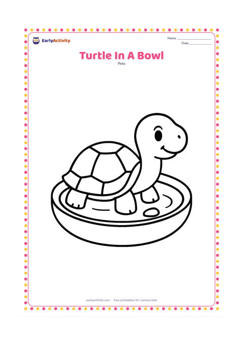 Colouring page: A small pet turtle sits in a wide, shallow water bowl, shown from the side with its head raised. Add one simple pebble and a curved water line inside the bowl.