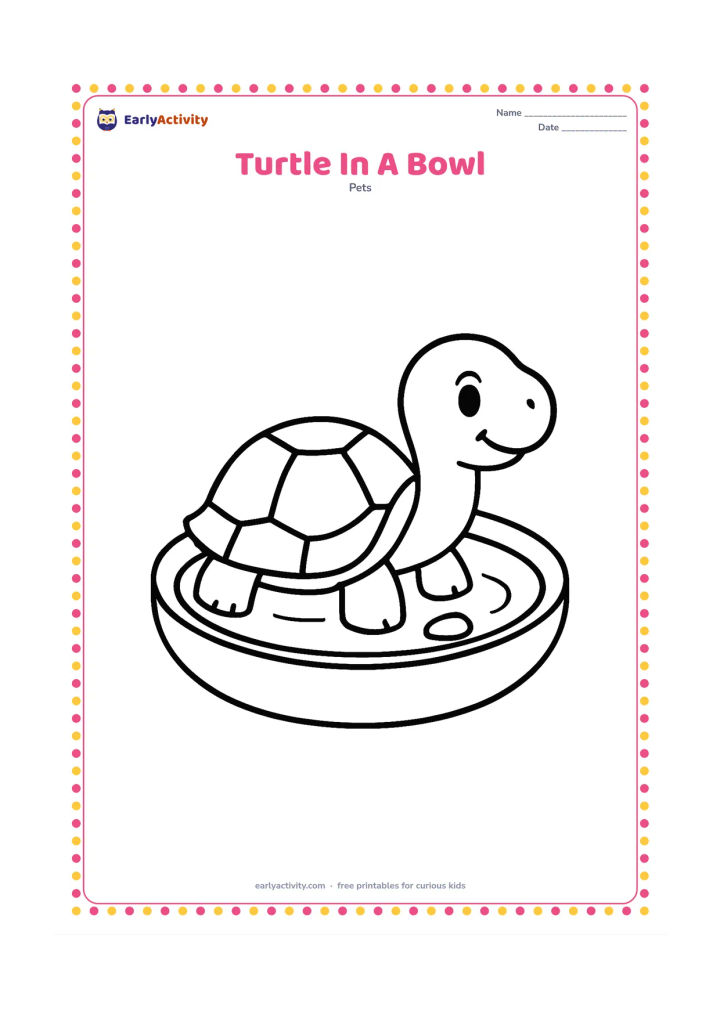 Colouring page: A small pet turtle sits in a wide, shallow water bowl, shown from the side with its head raised. Add one simple pebble and a curved water line inside the bowl.