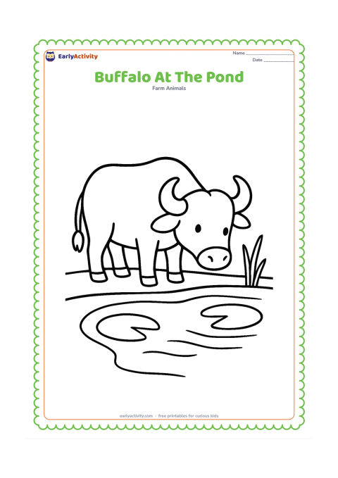 Colouring page: Draw one buffalo standing at the edge of a small pond with its nose near the water. Show broad water lines, a few reeds and two large lily pads, with plenty of empty space.