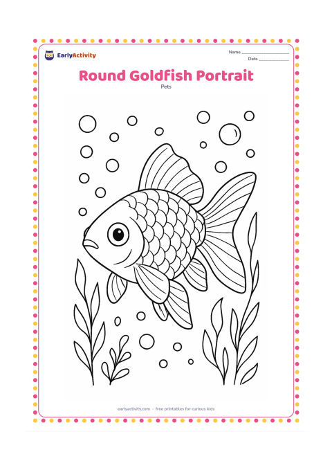 Colouring page: Draw a close-up goldfish facing slightly forward, emphasizing its rounded body, paired fins, fan-shaped tail, eye and clearly defined gill covers. Add delicate scale rows and a…