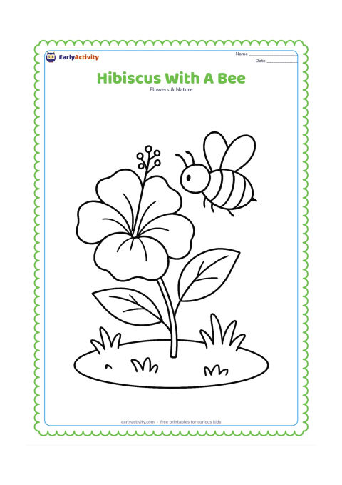 Colouring page: Draw a bee hovering beside an open hibiscus, with pollen marks suggested by simple dots on the central tube, two leaves, and a small garden patch. The bee should have plain stripes and…