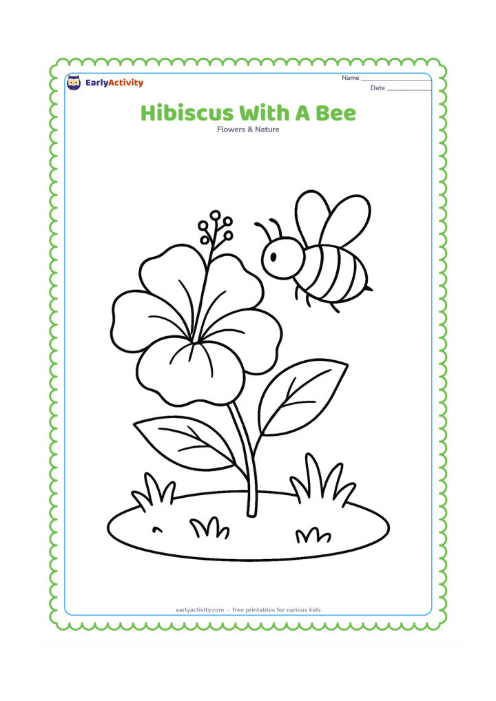 Colouring page: Draw a bee hovering beside an open hibiscus, with pollen marks suggested by simple dots on the central tube, two leaves, and a small garden patch. The bee should have plain stripes and…