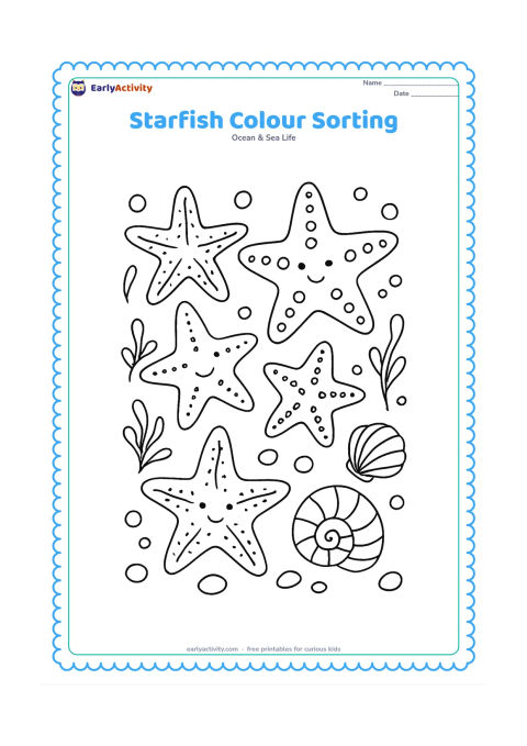 Colouring page: Draw several differently shaped starfish arranged around shells, seaweed, pebbles and bubbles, leaving open space between each object.