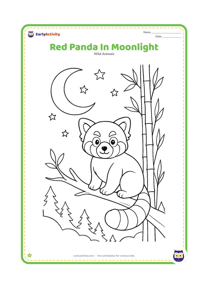 Colouring page: Draw a red panda perched on a branch beneath a large crescent moon, with stars, tall bamboo and layered nighttime forest silhouettes behind it. The animal should remain friendly and…