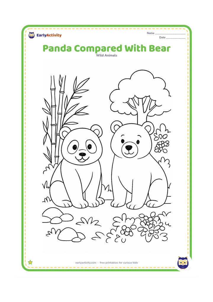 Colouring page: Draw a panda and a friendly brown-bear-shaped animal standing side by side in two connected natural habitats, with bamboo on the panda side and forest berries on the other side. Include…