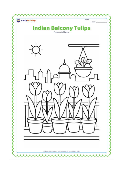 Colouring page: Draw several potted tulips arranged along the railing of an apartment balcony, with a simple Indian city skyline, a small sun and a hanging planter in the background. Keep the tulips…