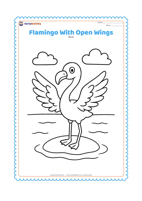 Colouring page: Draw a flamingo standing on a small island with both wings opened wide, showing broad feather sections. Include a simple horizon, two clouds and a few large water ripples.